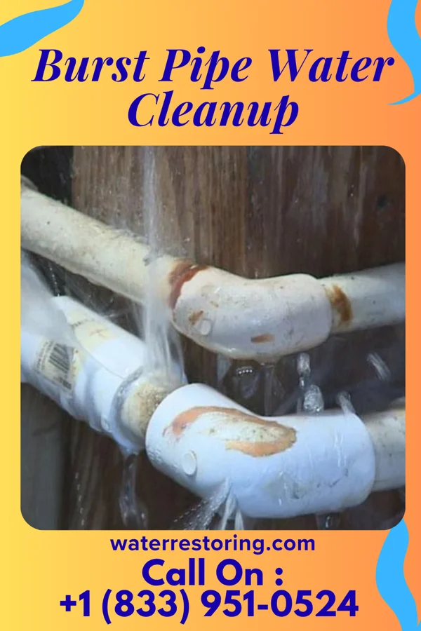 Burst Pipe Water Cleanup in Woodbury Heights, NJ