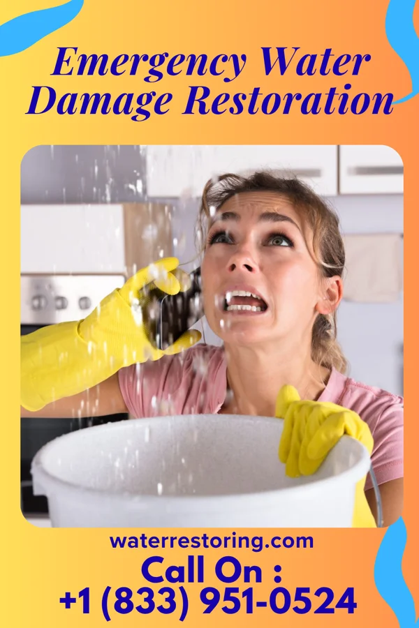 Emergency Water Damage Restoration in Woodbury Heights, NJ