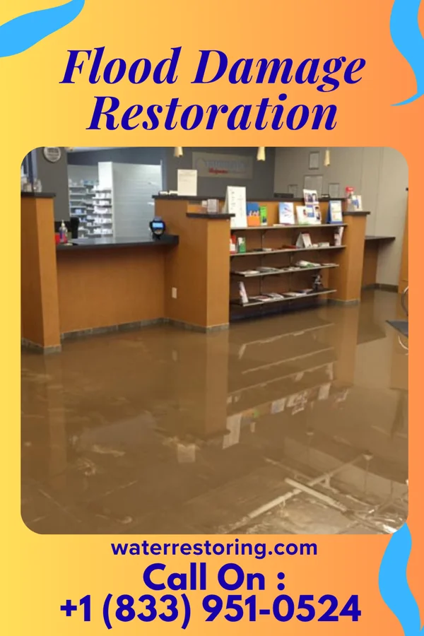 Flood Damage Restoration in Woodbury Heights, NJ