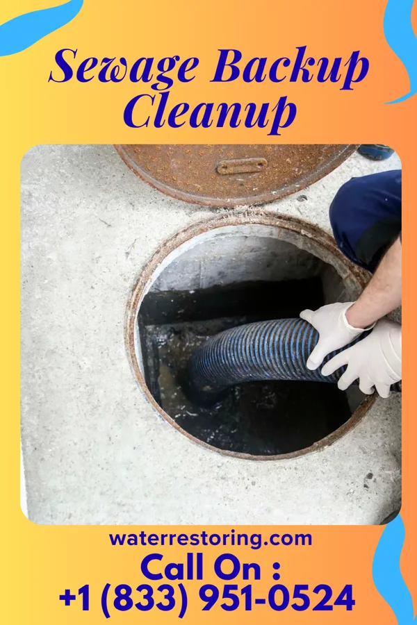 Sewage Backup Cleanup in Woodbury Heights, NJ